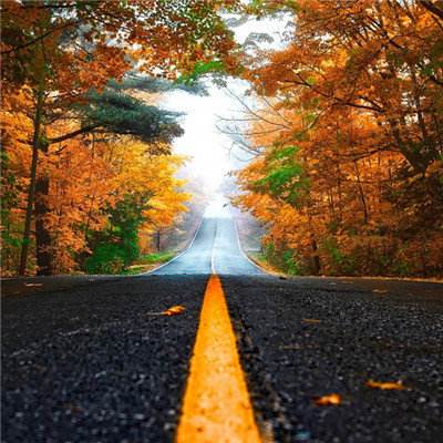 南宫ng28娱乐官网入口