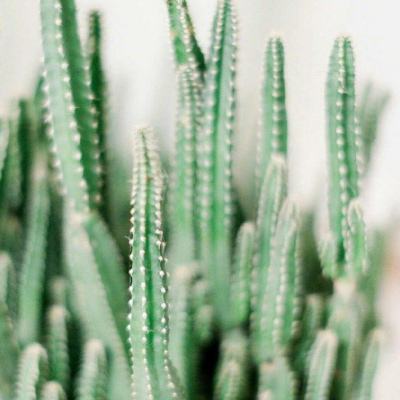 365平台官方版下载app下载截图